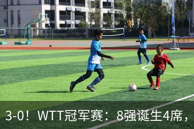 3-0!WTT冠军赛:8强诞生4席,王曼昱爆冷出局,林诗栋强势零封